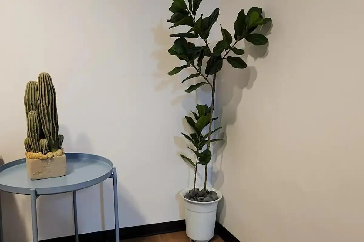 Apartmán K-2 White Linen House Soul